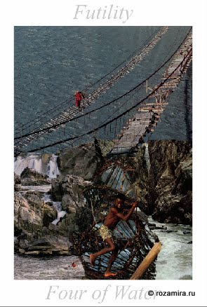 Nature Tarot by Jan Strube